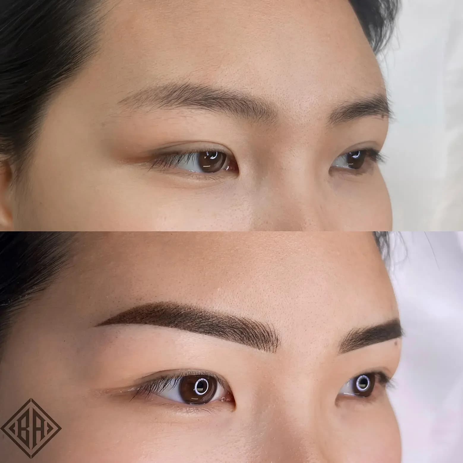 Combo Brows — Beauty Art Pro, Genève