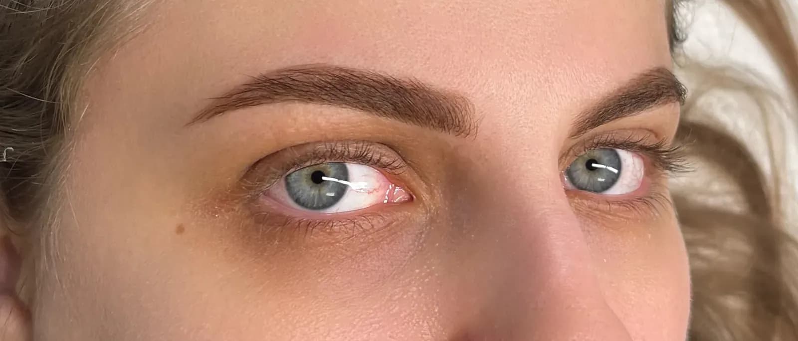 Hybrid Tint Brows in Geneva