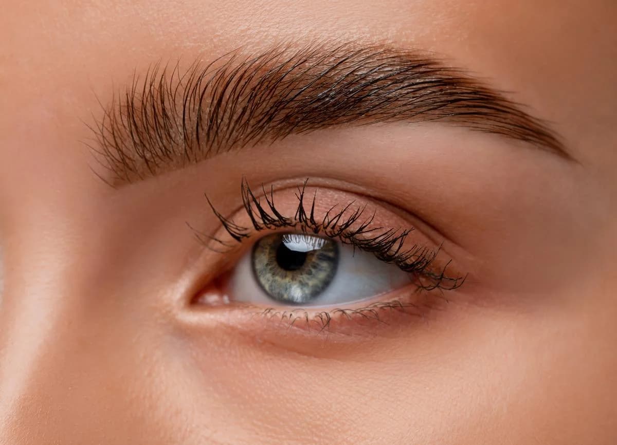 Hybrid Tint Brows in Geneva